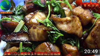 台灣網路電視台 卓蘭大克山鱘龍魚vs玉米雞渡假山莊特別報導